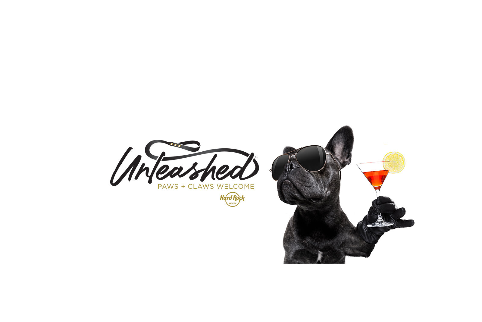 Unleashed - Programa para Mascotas